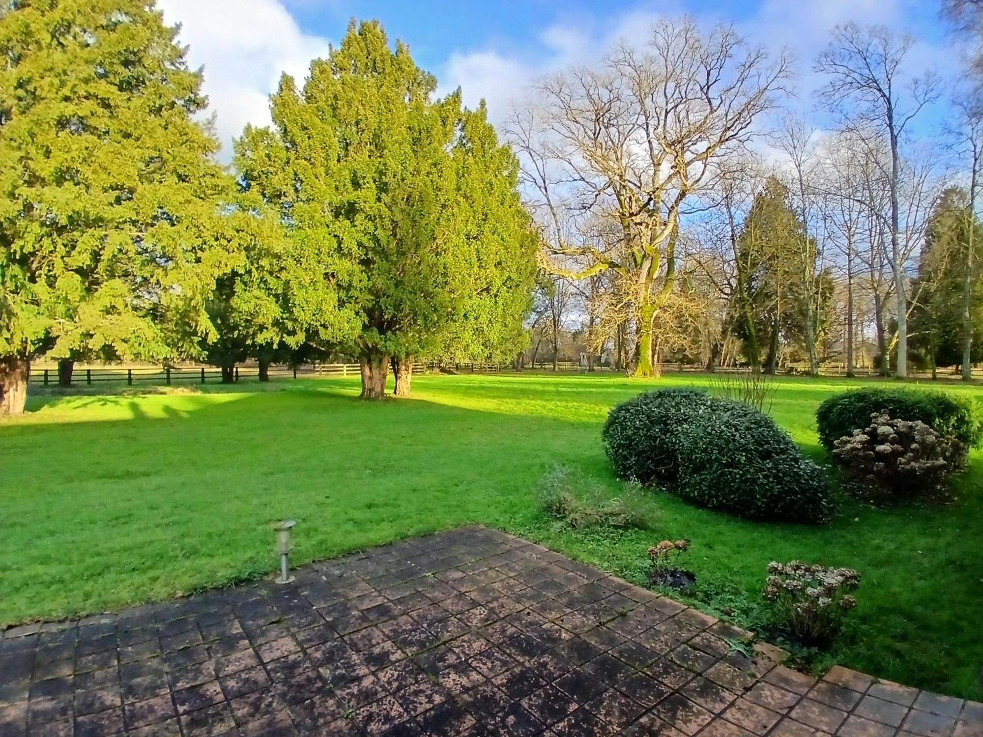 Bed and Breakfast Domaine Des Ifs Le Pin  Esterno foto