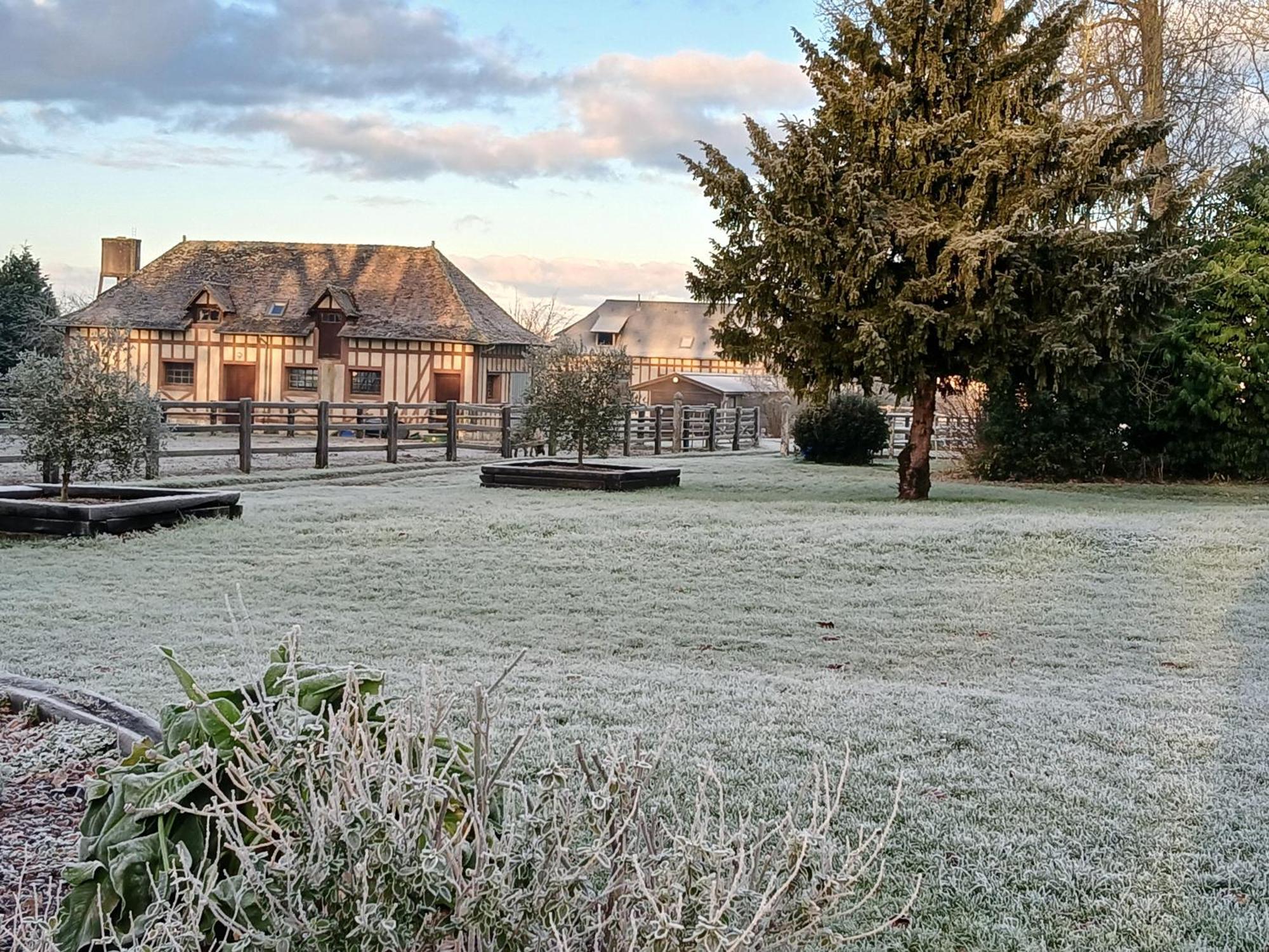 Bed and Breakfast Domaine Des Ifs Le Pin  Esterno foto