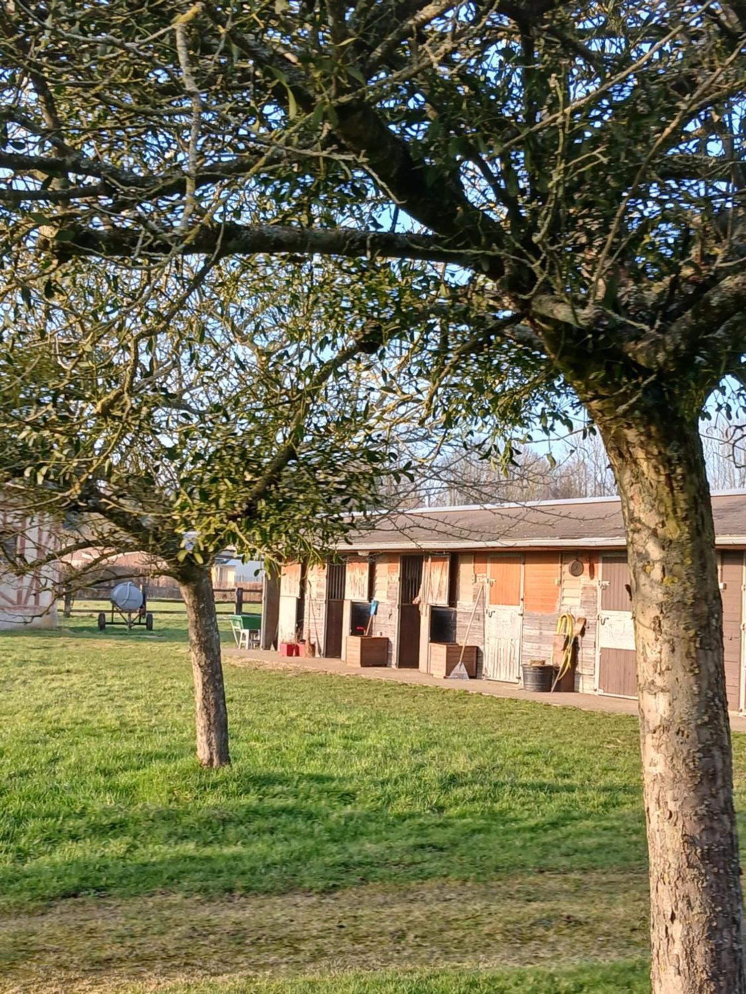 Bed and Breakfast Domaine Des Ifs Le Pin  Esterno foto