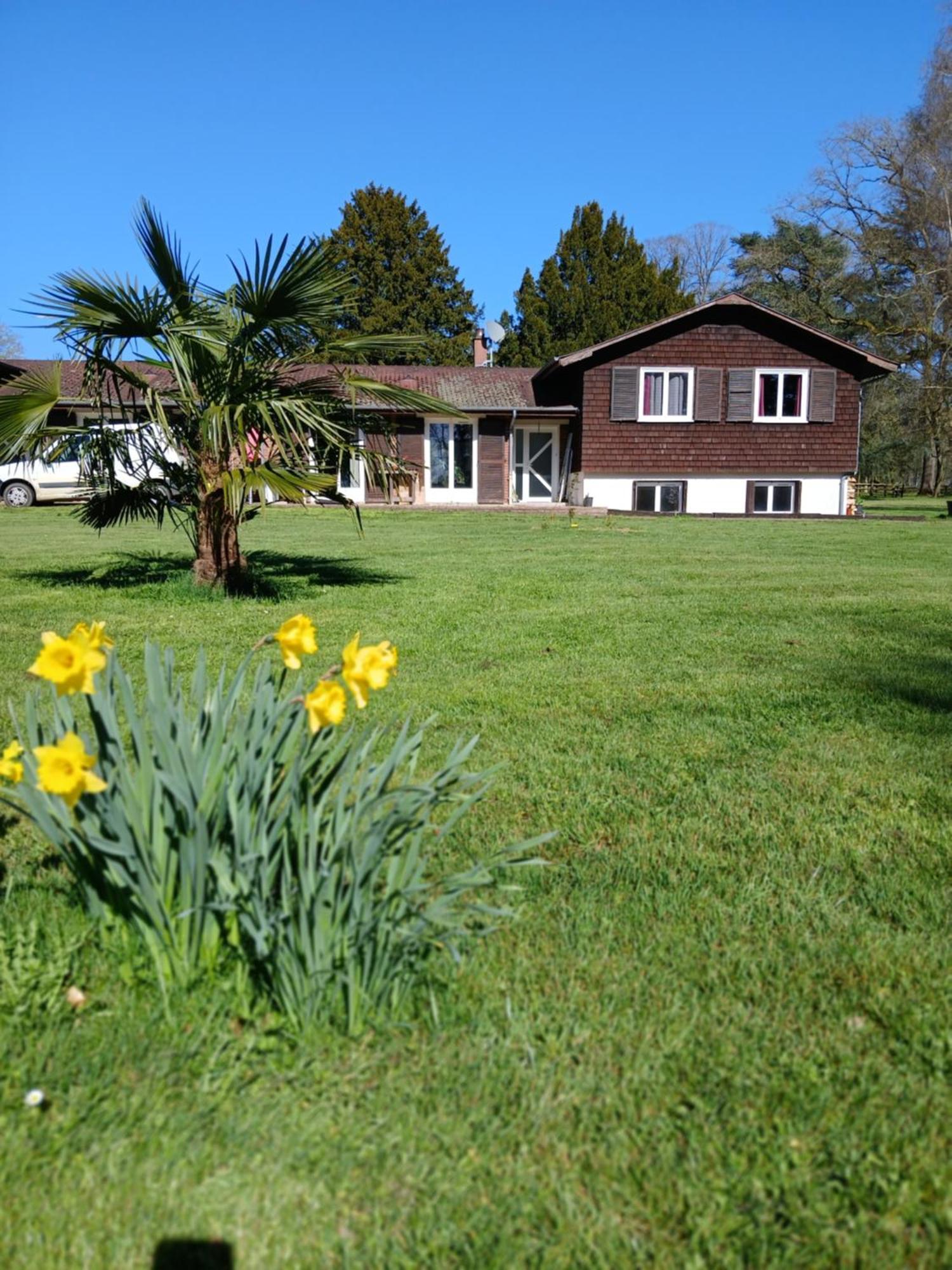 Bed and Breakfast Domaine Des Ifs Le Pin  Esterno foto