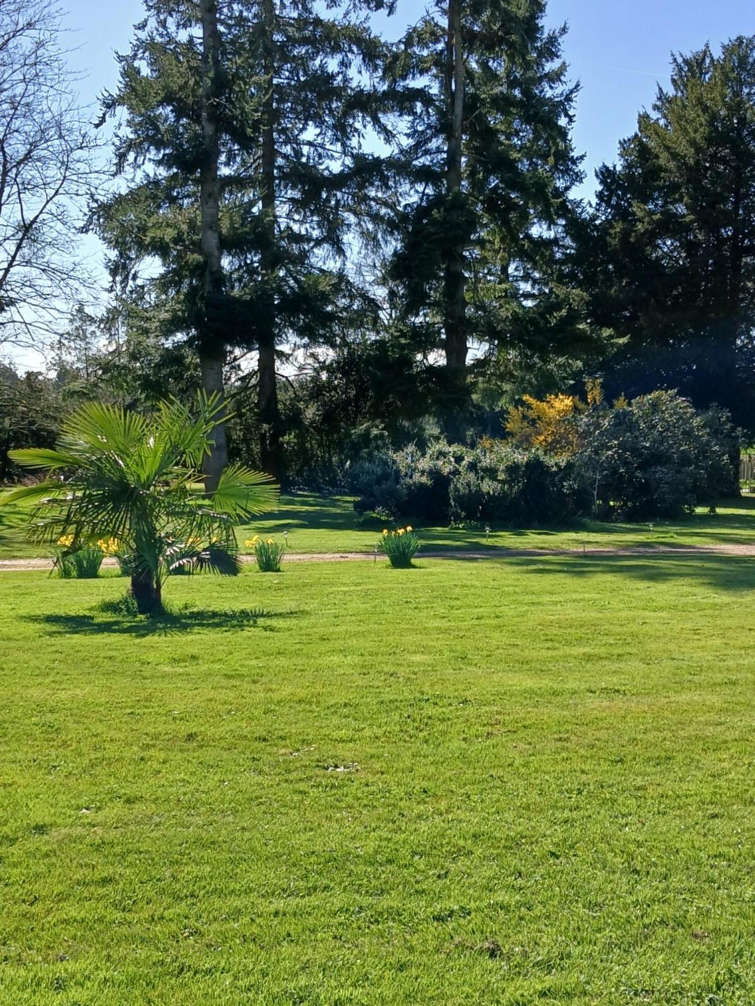 Bed and Breakfast Domaine Des Ifs Le Pin  Esterno foto
