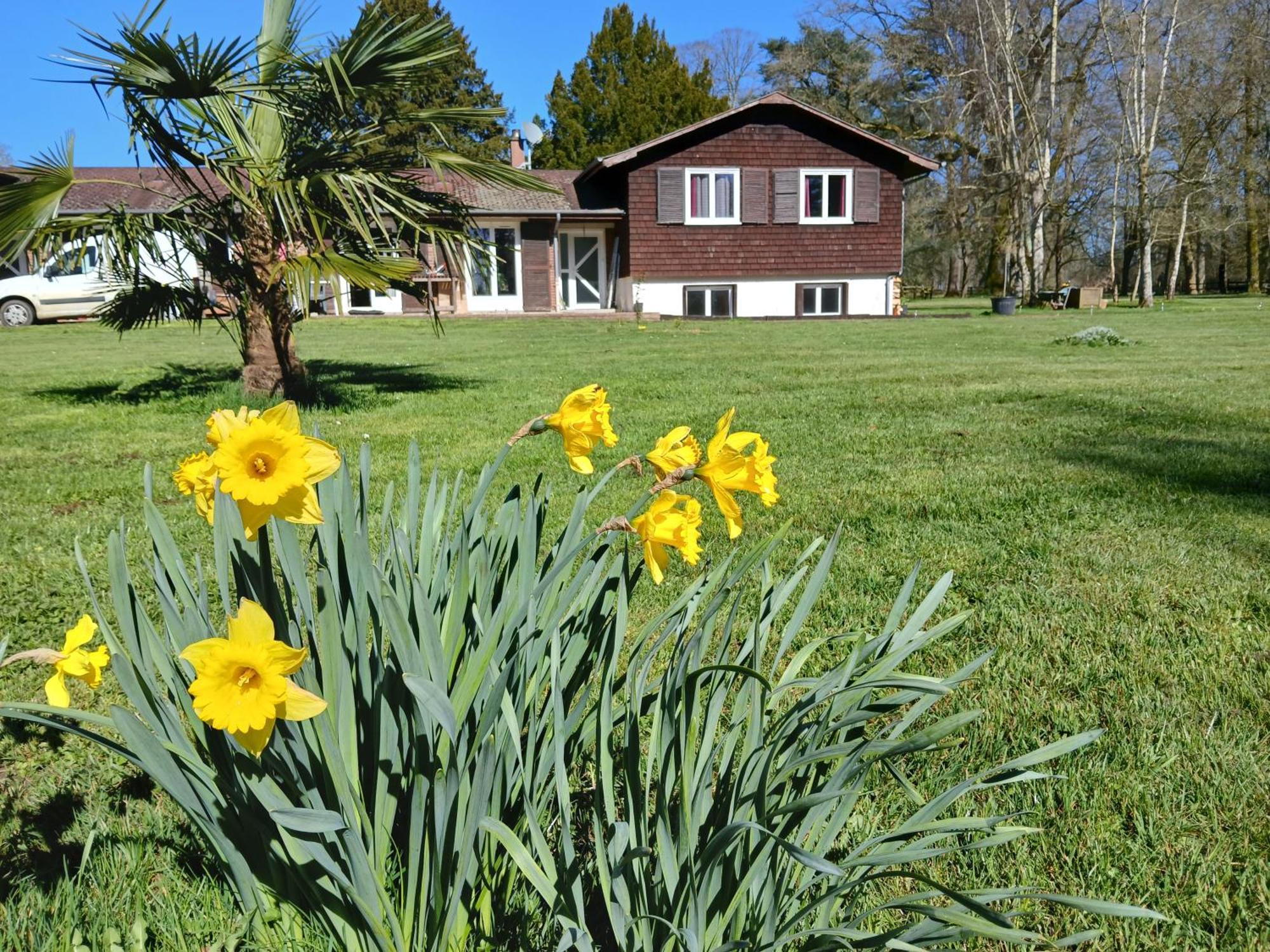 Bed and Breakfast Domaine Des Ifs Le Pin  Esterno foto