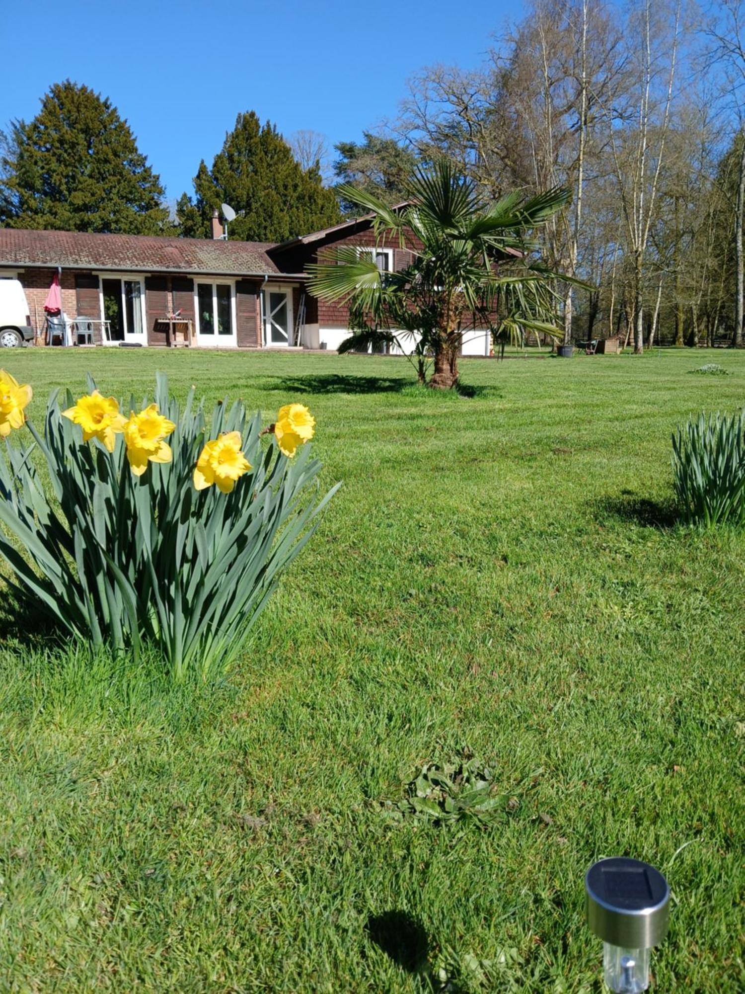 Bed and Breakfast Domaine Des Ifs Le Pin  Esterno foto