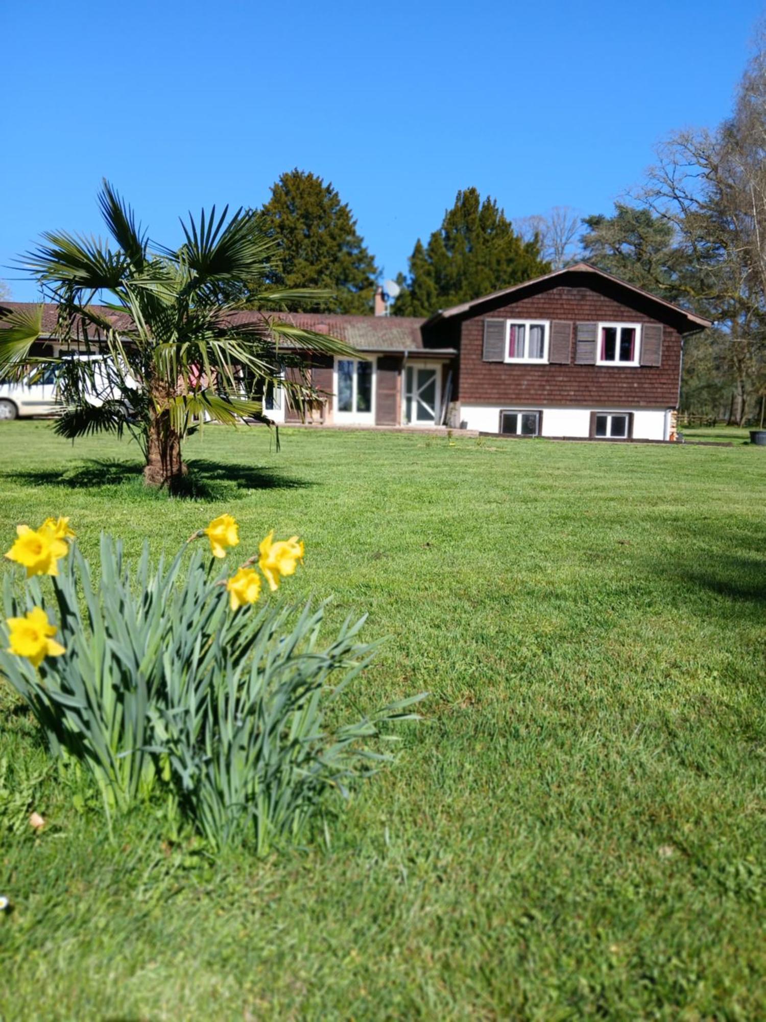 Bed and Breakfast Domaine Des Ifs Le Pin  Esterno foto